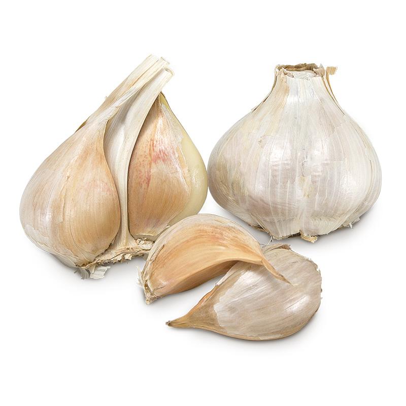 z garlic